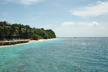 Tropical beach with clear blue water and lush palm trees on sunny day in the Maldives 