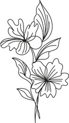 Elegant Line Art Floral Bouquet Botanical Illustration