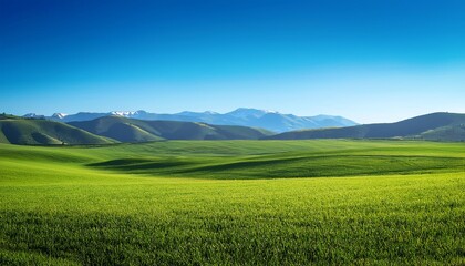 Fototapeta premium A serene landscape featuring lush green fields under a clear blue sky, with distant mountains creating a picturesque backdrop.