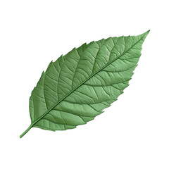 Obraz premium Green leaf against a colorful striped background nature design botany art