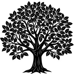 Obraz premium Rubber Tree