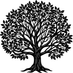 Obraz premium Rubber Tree