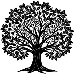 Obraz premium Rubber Tree