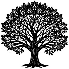 Obraz premium Rubber Tree