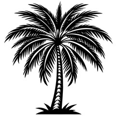 Obraz premium palm tree silhouette
