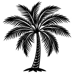palm tree silhouette