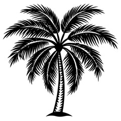palm tree silhouette