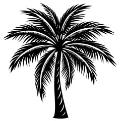 palm tree silhouette