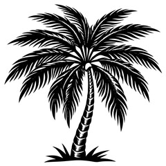 Obraz premium palm tree silhouette