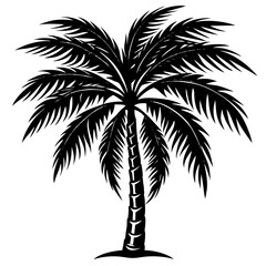 Obraz premium palm tree silhouette