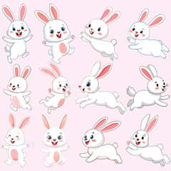 set of rabbits