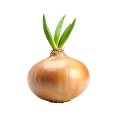 A vibrant close up of an onion with fresh green shoots growing out on transparent background png