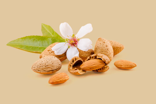 Almond nuts with leaves and flower showing the seed on a beige background