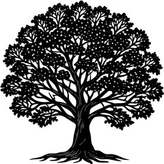 Obraz premium Sandalwood tree