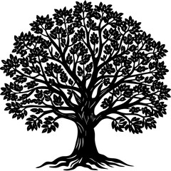 Obraz premium Sandalwood tree