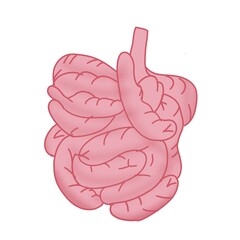 Part of intestine cartoon illustration