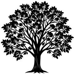 Obraz premium Eucalyptus tree