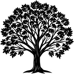 Obraz premium Eucalyptus tree