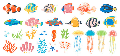 Cartoon exotic bright fish set. Tropical underwater wildlife, bright fish, different colors, marine life, aquarium patterned animals, Caribbean sea fauna, coral reef, jellyfish vector illustration.