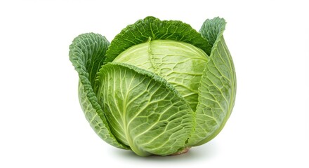 Obraz premium Fresh green cabbage head vegetable on white background
