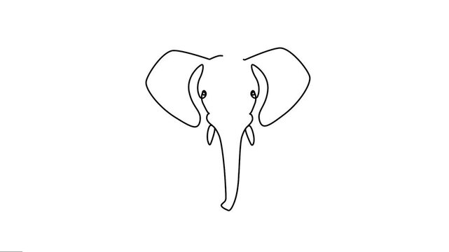 Animated Proboscis elephant face continuous line art video. 