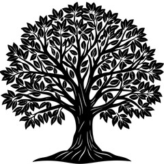 Obraz premium Teak tree