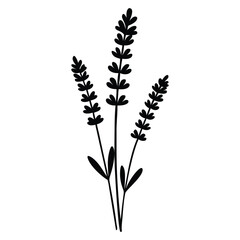 Lavender flower silhouette vector Design.