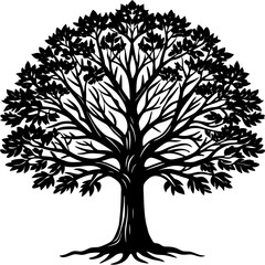 Obraz premium Teak tree