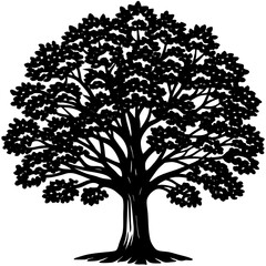 Teak tree