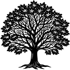 Teak tree