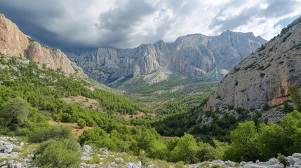 Serene Mountain Valley Landscape with Green Trees