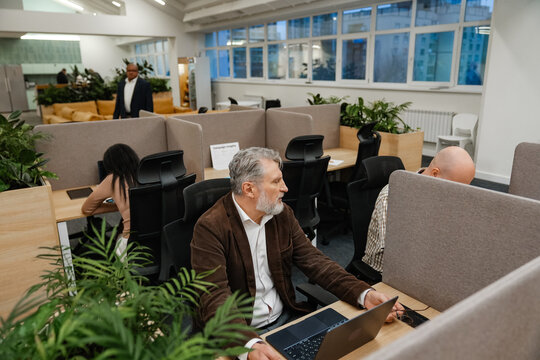 A group of diverse adults, including an older white man with a beard and a bald man, are working at desks in a modern open-plan office. Nearby, a woman types on a laptop, surrounded by cubicles.