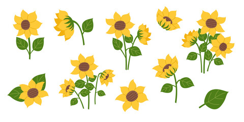 Set of sunflowers cliparts isolated on white. Nature, gardening, agriculture, spring, sunflower oil concept. Vector banner in flat style.