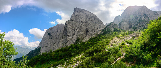 Fototapete bei efototapeten.de bestellen   