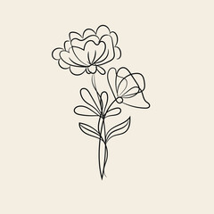 Elegant Minimalist Line Art Flower Drawing Botanical Illustration