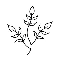 dheki made of vines and leaves