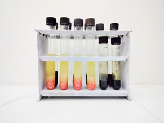 food hydrolysis for cholesterol analysis