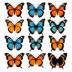 Collection of colorful vector moths and butterflies with detailed wings, isolated on white background, artistic nature illustration set