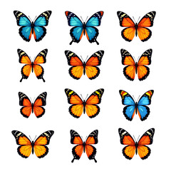 Collection of colorful vector moths and butterflies with detailed wings, isolated on white background, artistic nature illustration set