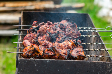 Shish kebab of meat on skewers is fried on the grill, green background