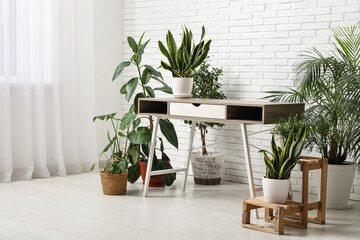 Stylish desk with houseplants in light office