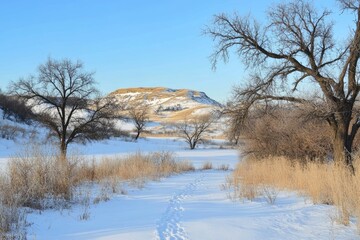 Winter landscape with snow-covered trail