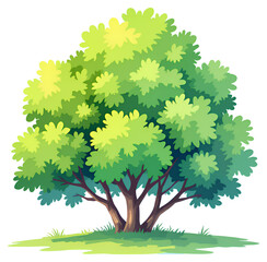 Cartoon Tree Illustration, Green Foliage, Transparent Background