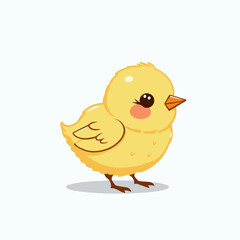 cute chick on white background