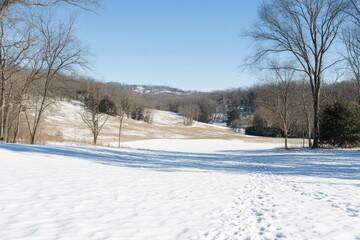 Snowy valley vista, winter landscape