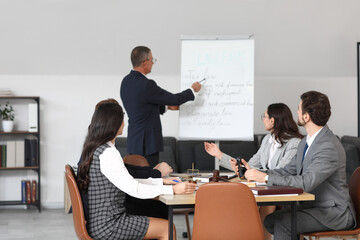 Group of lawyers working in office, back view