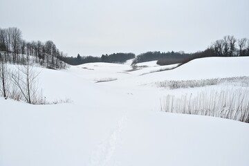 Obraz premium Snowy, rolling hills (1)