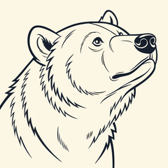 Bear Head Line Illustrations