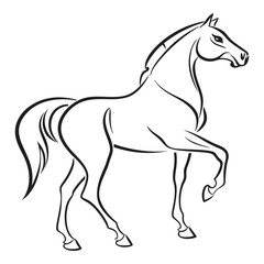 Horse Outline Line Drawing