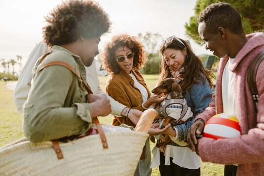A diverse group of friends, including Black and Asian people, gathers outdoors in a park on a sunny day. The adult Asian woman holds a small dog, attracting smiles from her friends nearby.